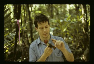 Nathan Erwin bands birds in Belize, in January 1991. Photo by Linda Hollenberg, Smithsonian Institution.