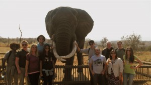 TCNJ Students at Hluhluwe Game Reserve in Northwest KwaZulu-Natal