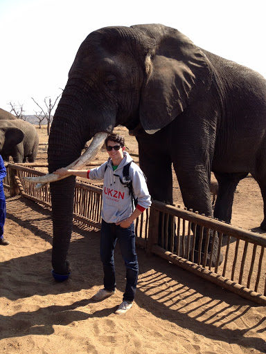 young man pictured with elephant